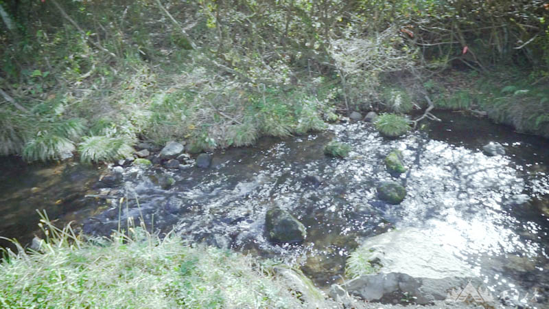 オートキャンプ場 高原の里 小川