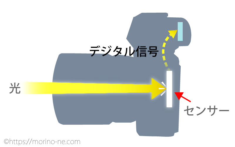 ミラーレスの光の流れ
